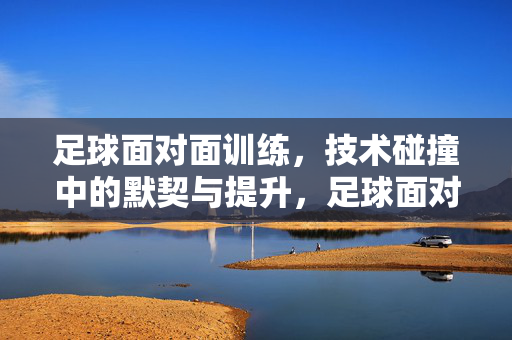 足球面对面训练，技术碰撞中的默契与提升，足球面对面训练，技术碰撞中的默契与提升