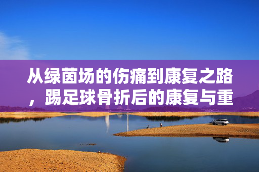 从绿茵场的伤痛到康复之路，踢足球骨折后的康复与重生，踢足球骨折后的康复与重生，绿茵场的伤痛到重生之路