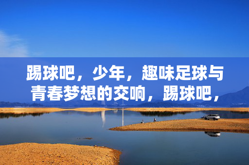 踢球吧，少年，趣味足球与青春梦想的交响，踢球吧，少年，趣味足球与青春梦想的交响