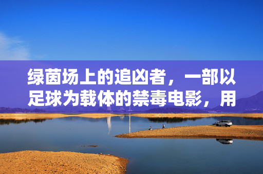 绿茵场上的追凶者，一部以足球为载体的禁毒电影，用热血点燃正义之光，绿茵场上的追凶者，一部以足球为载体的禁毒电影，用热血点燃正义之光