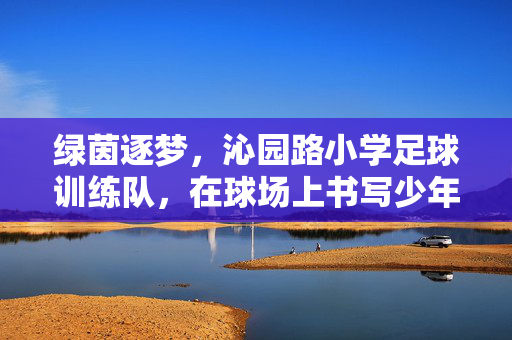 绿茵逐梦，沁园路小学足球训练队，在球场上书写少年活力与成长，绿茵逐梦，沁园路小学足球训练队书写少年活力与成长