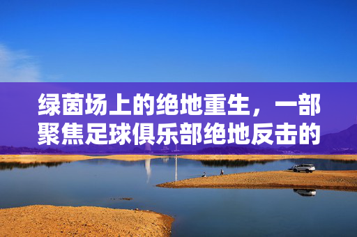 绿茵场上的绝地重生，一部聚焦足球俱乐部绝地反击的电影深度解读，绿茵绝地重生，一部聚焦足球俱乐部绝地反击的电影深度解读