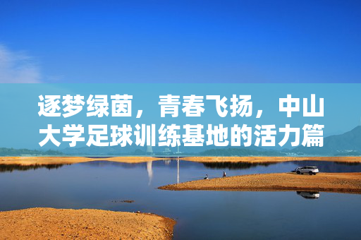 逐梦绿茵，青春飞扬，中山大学足球训练基地的活力篇章，逐梦绿茵，青春飞扬，中山大学足球训练基地的活力篇章