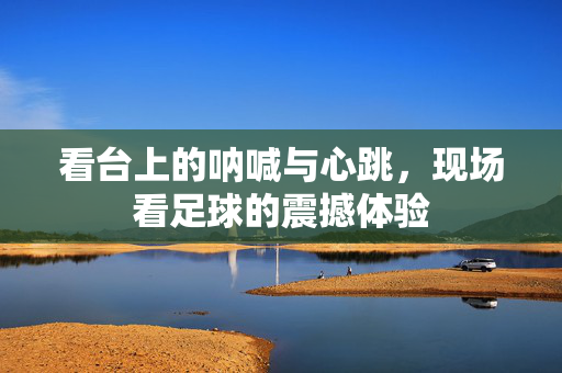 看台上的呐喊与心跳，现场看足球的震撼体验