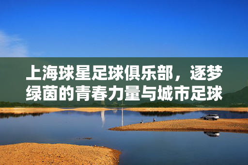 上海球星足球俱乐部，逐梦绿茵的青春力量与城市足球新名片，上海球星足球俱乐部，逐梦绿茵的青春力量与城市足球新名片