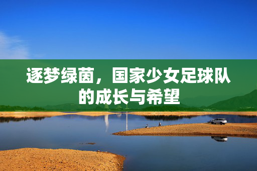 逐梦绿茵，国家少女足球队的成长与希望