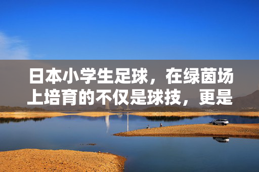 日本小学生足球，在绿茵场上培育的不仅是球技，更是坚韧与团队精神