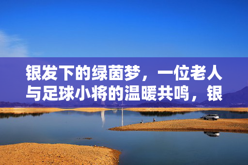 银发下的绿茵梦，一位老人与足球小将的温暖共鸣，银发下的绿茵梦，一位老人与足球小将的温暖共鸣