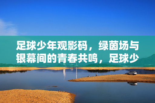 足球少年观影码，绿茵场与银幕间的青春共鸣，足球少年观影码，绿茵场与银幕间的青春共鸣