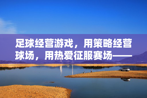 足球经营游戏，用策略经营球场，用热爱征服赛场——足球类经营游戏的发展与魅力探析