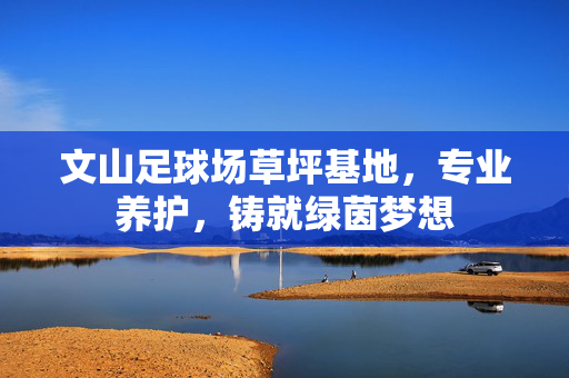 文山足球场草坪基地，专业养护，铸就绿茵梦想