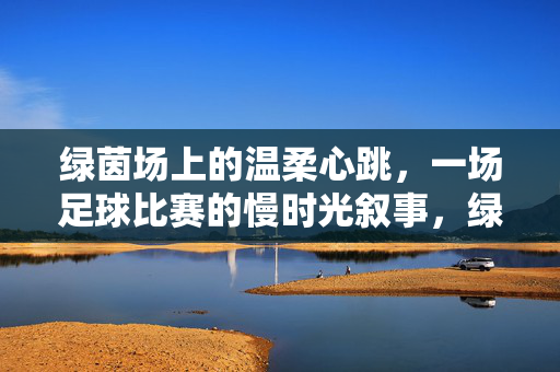 绿茵场上的温柔心跳，一场足球比赛的慢时光叙事，绿茵场上的温柔心跳，一场足球比赛的慢时光叙事