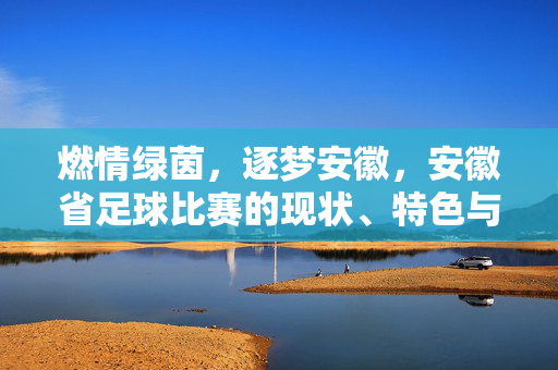 燃情绿茵，逐梦安徽，安徽省足球比赛的现状、特色与未来展望，燃情绿茵，逐梦安徽，安徽省足球比赛的现状、特色与未来展望