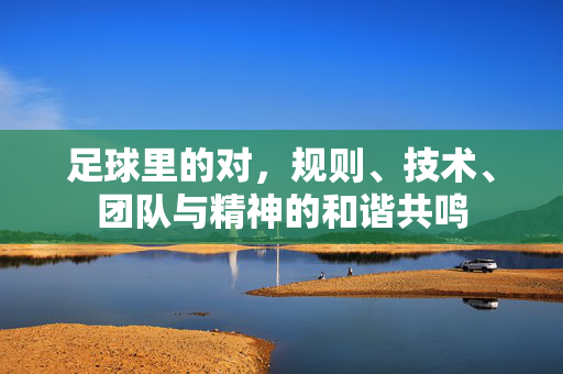 足球里的对，规则、技术、团队与精神的和谐共鸣