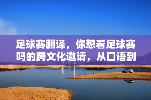 足球赛翻译，你想看足球赛吗的跨文化邀请，从口语到全球共鸣的桥梁，足球赛翻译，从你想看足球赛吗到全球共鸣的跨文化桥梁