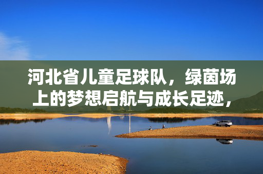 河北省儿童足球队，绿茵场上的梦想启航与成长足迹，河北省儿童足球队，绿茵场上的梦想启航与成长足迹