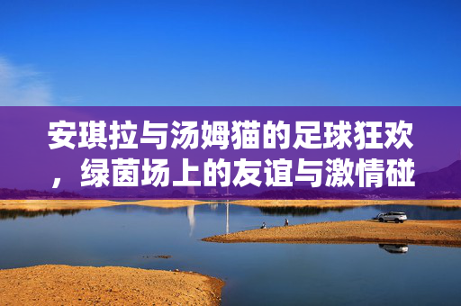 安琪拉与汤姆猫的足球狂欢，绿茵场上的友谊与激情碰撞