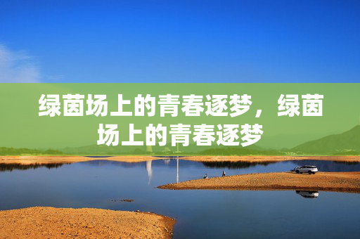 绿茵场上的青春逐梦，绿茵场上的青春逐梦