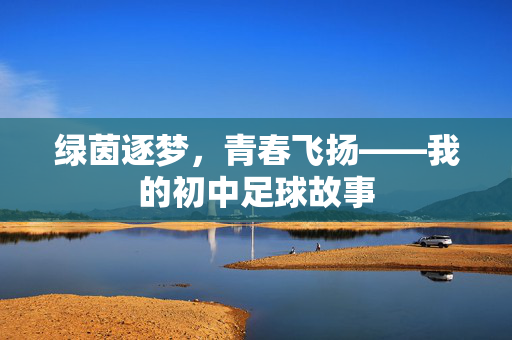 绿茵逐梦，青春飞扬——我的初中足球故事