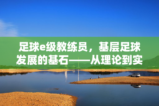足球e级教练员，基层足球发展的基石——从理论到实践的技能传承与专业成长，足球e级教练员，基层足球发展的基石——从理论到实践的技能传承与专业成长