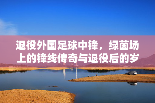 退役外国足球中锋，绿茵场上的锋线传奇与退役后的岁月回响，退役外国足球中锋，绿茵场上的锋线传奇与退役后的岁月回响