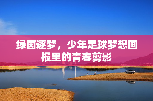绿茵逐梦，少年足球梦想画报里的青春剪影