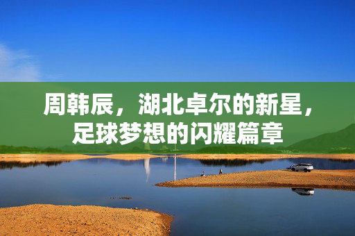 周韩辰，湖北卓尔的新星，足球梦想的闪耀篇章
