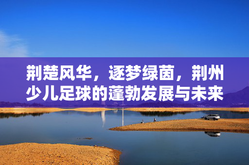 荆楚风华，逐梦绿茵，荆州少儿足球的蓬勃发展与未来展望，荆楚风华，逐梦绿茵，荆州少儿足球的蓬勃发展与未来展望