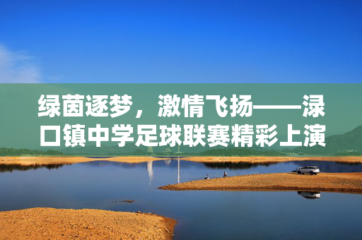 绿茵逐梦，激情飞扬——渌口镇中学足球联赛精彩上演，绿茵逐梦，激情飞扬——渌口镇中学足球联赛精彩上演