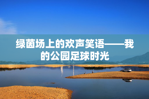 绿茵场上的欢声笑语——我的公园足球时光