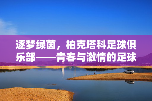 逐梦绿茵，柏克塔科足球俱乐部——青春与激情的足球殿堂，逐梦绿茵，柏克塔科足球俱乐部——青春与激情的足球殿堂