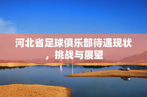 河北省足球俱乐部待遇现状，挑战与展望