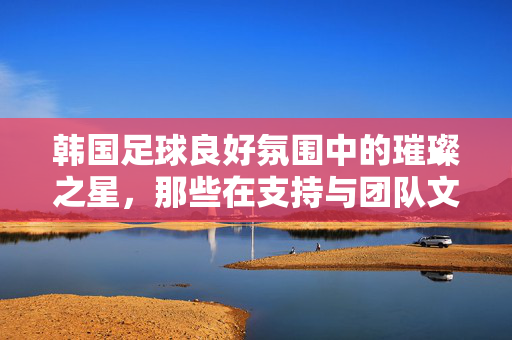 韩国足球良好氛围中的璀璨之星，那些在支持与团队文化中绽放的球员