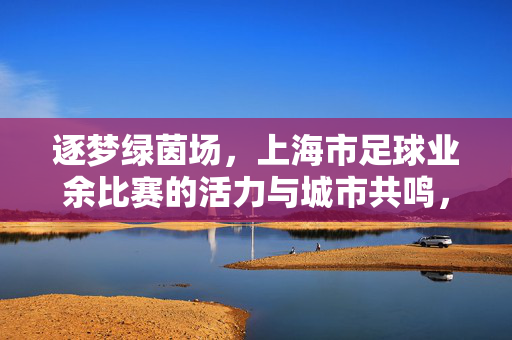 逐梦绿茵场，上海市足球业余比赛的活力与城市共鸣，逐梦绿茵场，上海市足球业余比赛的活力与城市共鸣