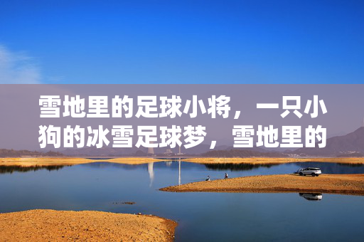 雪地里的足球小将，一只小狗的冰雪足球梦，雪地里的足球小将，一只小狗的冰雪足球梦