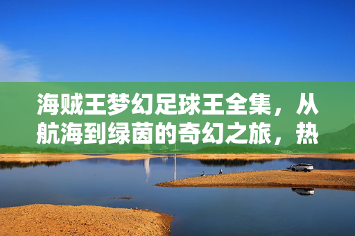 海贼王梦幻足球王全集，从航海到绿茵的奇幻之旅，热血与足球的完美融合，海贼王梦幻足球王全集，从航海到绿茵的奇幻之旅，热血与足球的完美融合