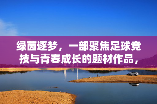 绿茵逐梦，一部聚焦足球竞技与青春成长的题材作品，绿茵逐梦，足球竞技与青春成长的题材作品