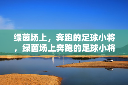 绿茵场上，奔跑的足球小将，绿茵场上奔跑的足球小将
