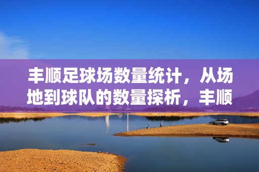 丰顺足球场数量统计，从场地到球队的数量探析，丰顺足球场数量统计，从场地到球队的数量探析