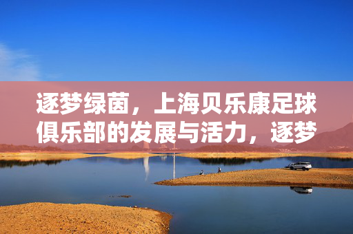 逐梦绿茵，上海贝乐康足球俱乐部的发展与活力，逐梦绿茵，上海贝乐康足球俱乐部的发展与活力
