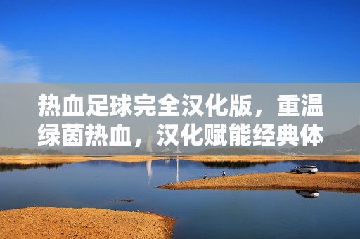 热血足球完全汉化版,重温绿茵热血,汉化赋能经典体验,热血足球完全汉化版,重温绿茵热血,汉化赋能经典体验