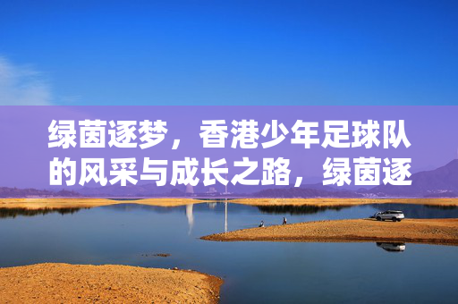 绿茵逐梦，香港少年足球队的风采与成长之路，绿茵逐梦，香港少年足球队的风采与成长之路