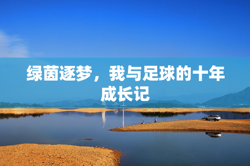 绿茵逐梦，我与足球的十年成长记