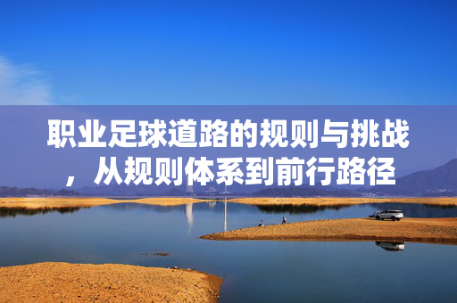 职业足球道路的规则与挑战，从规则体系到前行路径