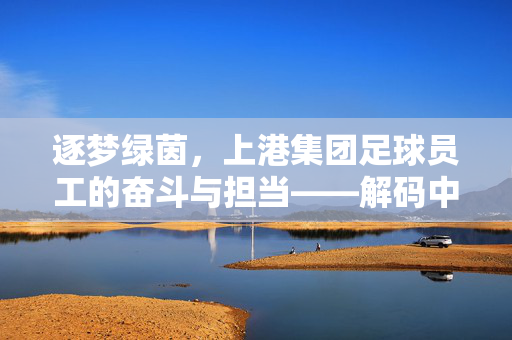 逐梦绿茵，上港集团足球员工的奋斗与担当——解码中超豪门的幕后力量，逐梦绿茵，上港集团足球员工的奋斗与担当——解码中超豪门的幕后力量