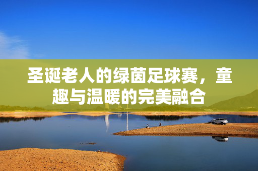 圣诞老人的绿茵足球赛，童趣与温暖的完美融合