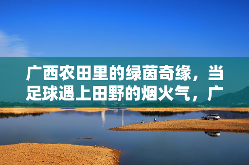 广西农田里的绿茵奇缘,当足球遇上田野的烟火气,广西农田里的绿茵奇缘,足球遇上田野的烟火气