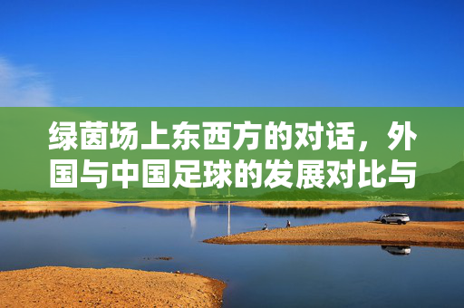 绿茵场上东西方的对话，外国与中国足球的发展对比与启示，绿茵场上东西方对话，中外足球发展的对比与启示