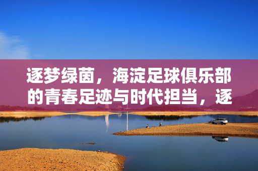 逐梦绿茵，海淀足球俱乐部的青春足迹与时代担当，逐梦绿茵，海淀足球俱乐部的青春足迹与时代担当