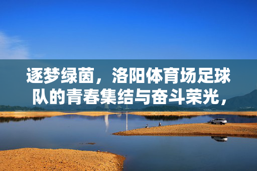 逐梦绿茵，洛阳体育场足球队的青春集结与奋斗荣光，逐梦绿茵，洛阳体育场足球队的青春集结与奋斗荣光